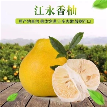 永州江永香柚新鲜水果网袋装27-28斤/袋