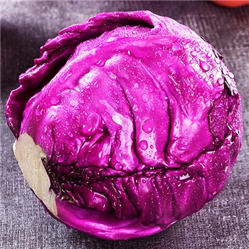绿丰优选精品紫包菜一个